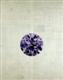 Portrait of Values (Purple)